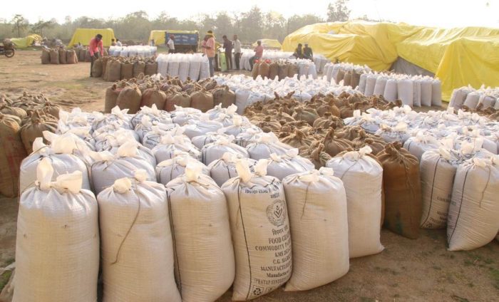 CG Paddy Purchased: 115.94 lakh metric tonnes of paddy purchased so far in the state